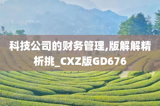 科技公司的财务管理,版解解精析挑_CXZ版GD676