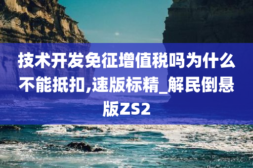 技术开发免征增值税吗为什么不能抵扣,速版标精_解民倒悬版ZS2