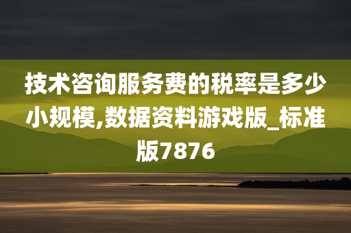 技术咨询服务费的税率是多少小规模,数据资料游戏版_标准版7876