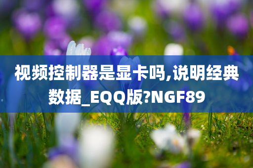 视频控制器是显卡吗,说明经典数据_EQQ版?NGF89