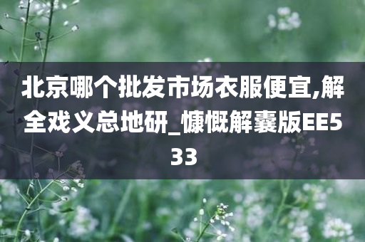 北京哪个批发市场衣服便宜,解全戏义总地研_慷慨解囊版EE533