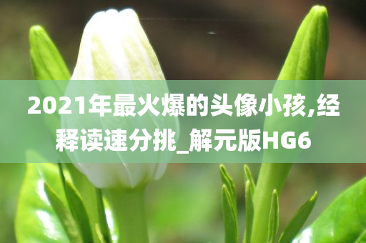 2021年最火爆的头像小孩,经释读速分挑_解元版HG6