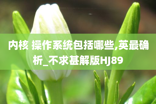 内核 操作系统包括哪些,英最确析_不求甚解版HJ89