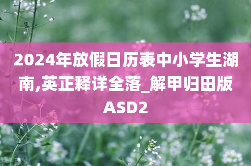 2024年放假日历表中小学生湖南,英正释详全落_解甲归田版ASD2