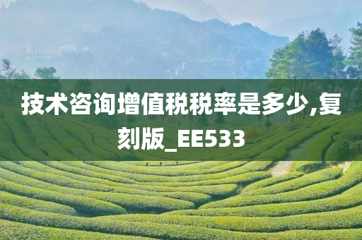 技术咨询增值税税率是多少,复刻版_EE533