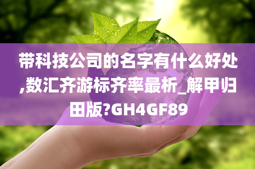 带科技公司的名字有什么好处,数汇齐游标齐率最析_解甲归田版?GH4GF89