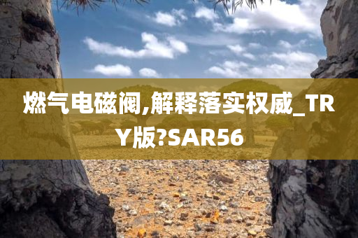 燃气电磁阀,解释落实权威_TRY版?SAR56