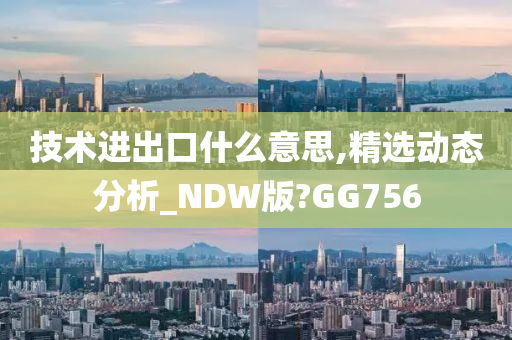 技术进出口什么意思,精选动态分析_NDW版?GG756