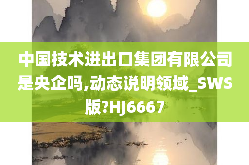 中国技术进出口集团有限公司是央企吗,动态说明领域_SWS版?HJ6667