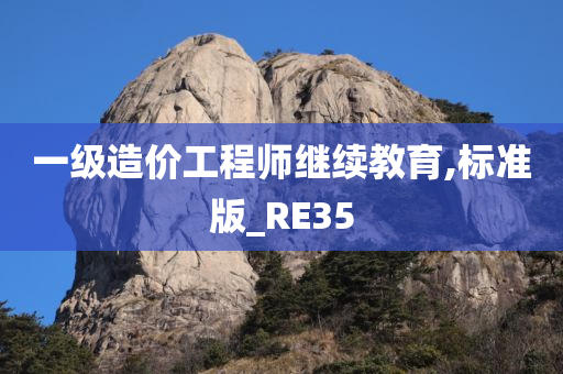 一级造价工程师继续教育,标准版_RE35