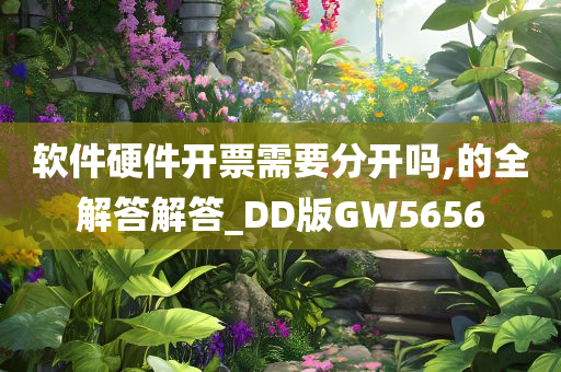 软件硬件开票需要分开吗,的全解答解答_DD版GW5656