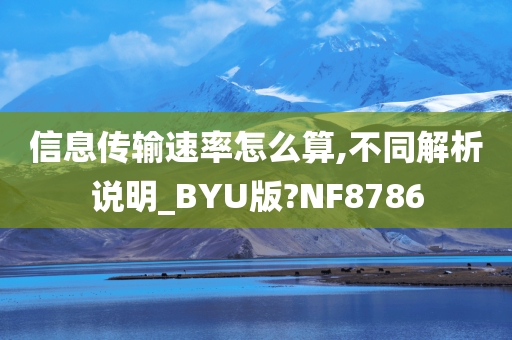 信息传输速率怎么算,不同解析说明_BYU版?NF8786