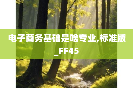 电子商务基础是啥专业,标准版_FF45