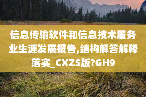 信息传输软件和信息技术服务业生涯发展报告,结构解答解释落实_CXZS版?GH9