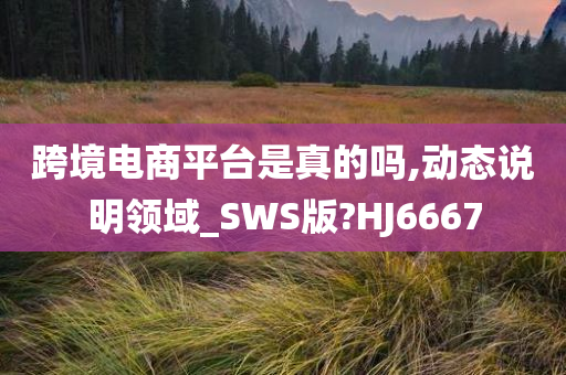 跨境电商平台是真的吗,动态说明领域_SWS版?HJ6667