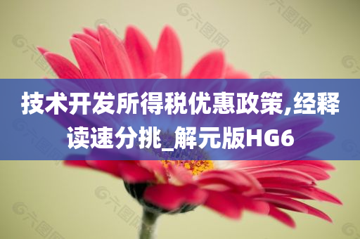 技术开发所得税优惠政策,经释读速分挑_解元版HG6