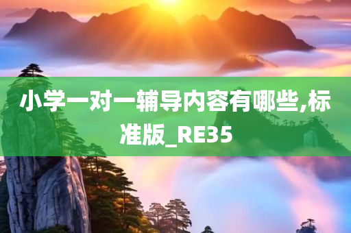 小学一对一辅导内容有哪些,标准版_RE35