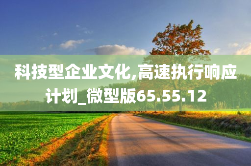 科技型企业文化,高速执行响应计划_微型版65.55.12