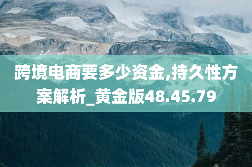 跨境电商要多少资金,持久性方案解析_黄金版48.45.79