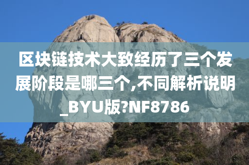 区块链技术大致经历了三个发展阶段是哪三个,不同解析说明_BYU版?NF8786