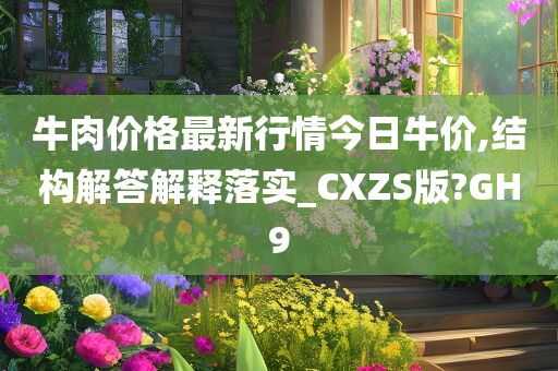 牛肉价格最新行情今日牛价,结构解答解释落实_CXZS版?GH9