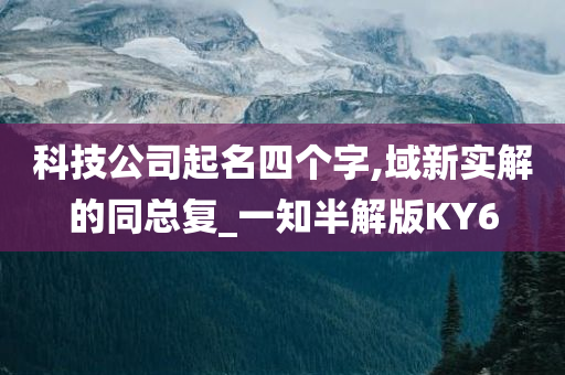 科技公司起名四个字,域新实解的同总复_一知半解版KY6