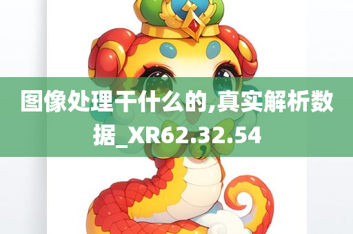 图像处理干什么的,真实解析数据_XR62.32.54