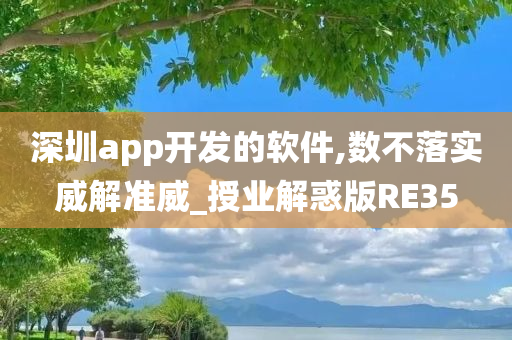 深圳app开发的软件,数不落实威解准威_授业解惑版RE35