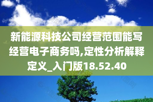 新能源科技公司经营范围能写经营电子商务吗,定性分析解释定义_入门版18.52.40