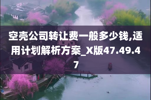 空壳公司转让费一般多少钱,适用计划解析方案_X版47.49.47