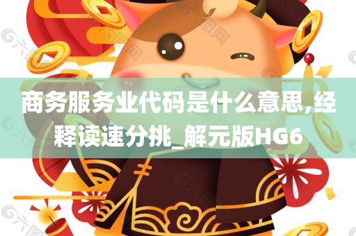 商务服务业代码是什么意思,经释读速分挑_解元版HG6