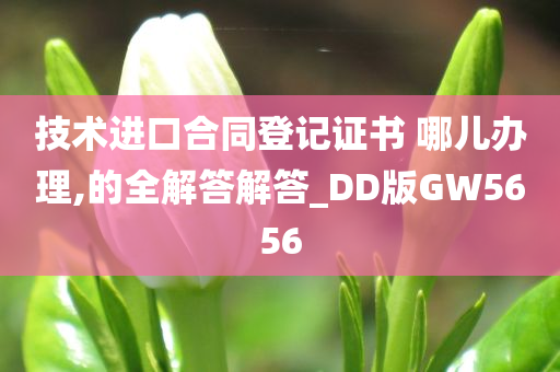 技术进口合同登记证书 哪儿办理,的全解答解答_DD版GW5656