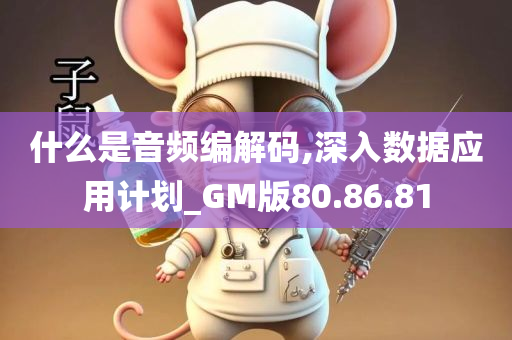 什么是音频编解码,深入数据应用计划_GM版80.86.81