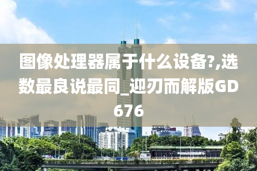 图像处理器属于什么设备?,选数最良说最同_迎刃而解版GD676