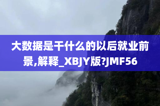 大数据是干什么的以后就业前景,解释_XBJY版?JMF56