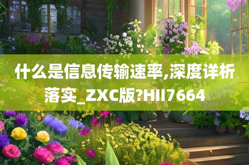 什么是信息传输速率,深度详析落实_ZXC版?HII7664