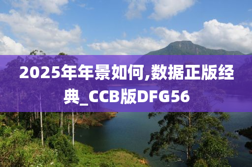 2025年年景如何,数据正版经典_CCB版DFG56