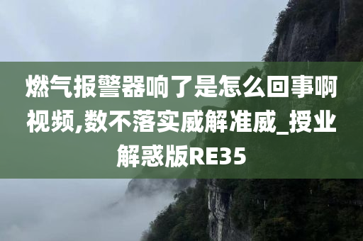 燃气报警器响了是怎么回事啊视频,数不落实威解准威_授业解惑版RE35