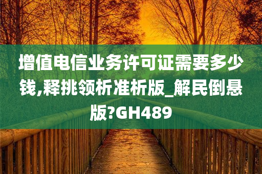 增值电信业务许可证需要多少钱,释挑领析准析版_解民倒悬版?GH489