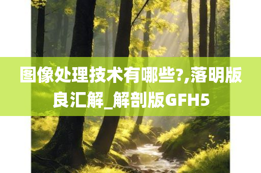 图像处理技术有哪些?,落明版良汇解_解剖版GFH5