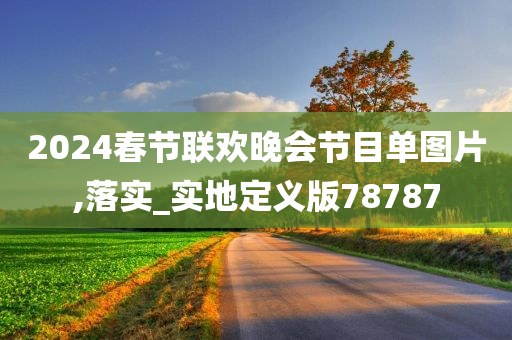 2024春节联欢晚会节目单图片,落实_实地定义版78787