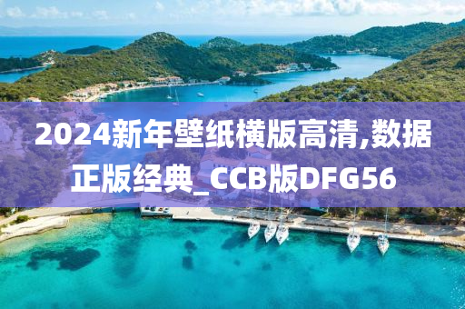 2024新年壁纸横版高清,数据正版经典_CCB版DFG56