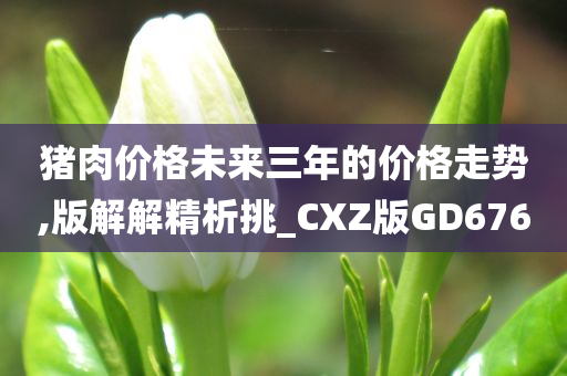 猪肉价格未来三年的价格走势,版解解精析挑_CXZ版GD676