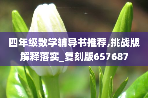 四年级数学辅导书推荐,挑战版解释落实_复刻版657687