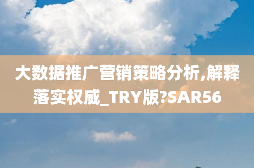 大数据推广营销策略分析,解释落实权威_TRY版?SAR56