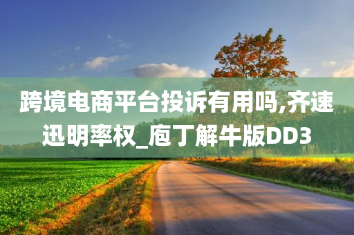 跨境电商平台投诉有用吗,齐速迅明率权_庖丁解牛版DD3