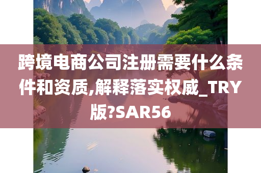 跨境电商公司注册需要什么条件和资质,解释落实权威_TRY版?SAR56