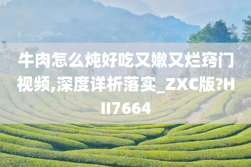 牛肉怎么炖好吃又嫩又烂窍门视频,深度详析落实_ZXC版?HII7664