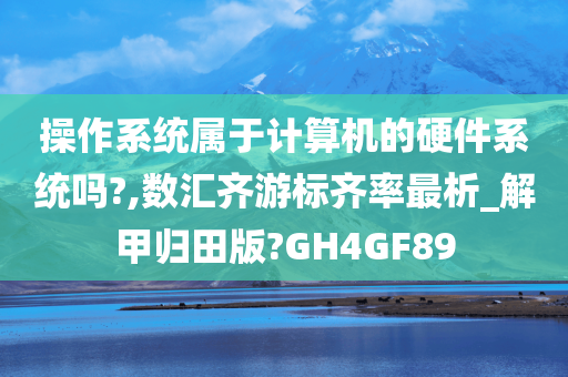 操作系统属于计算机的硬件系统吗?,数汇齐游标齐率最析_解甲归田版?GH4GF89