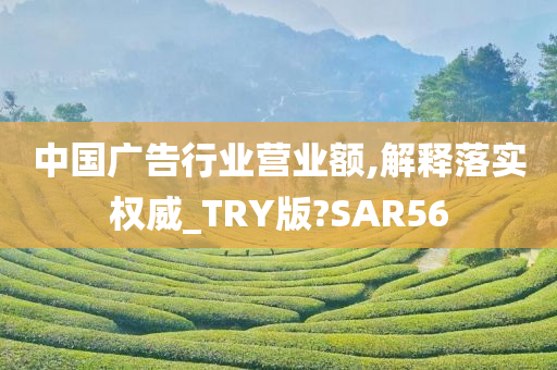 中国广告行业营业额,解释落实权威_TRY版?SAR56